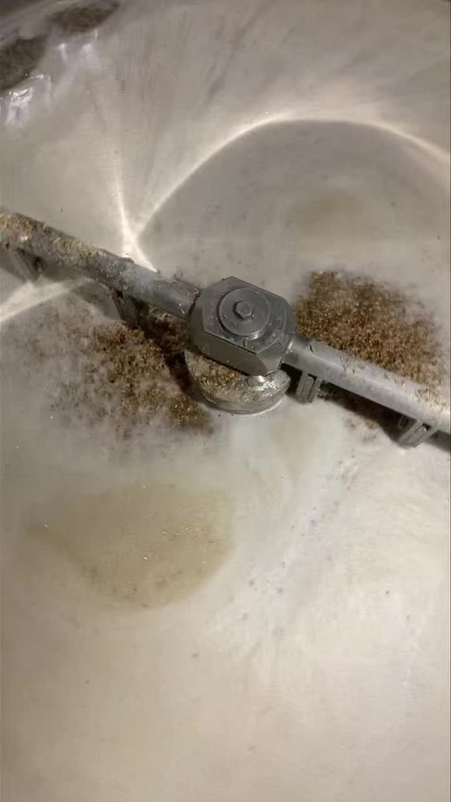 🤔⁉️Comment fabrique t’on la bière?⁉️🤔

La semaine passée nous vous avions laissé avec nos grains réduits en miettes mais que se passe t’il ensuite? 🤔

L’EMPATAGE

Nos grains 🌾ainsi préparés vont être mélangés à de l’eau chaude 💧. 
Pendant 1h environ, les enzymes vont venir transformer l’amidon présent dans les céréales en sucres fermentescibles. Ces sucres nous seront utiles pour la fermentation. 

Pour la petite anecdote, l’infusion très sucrée que l’on obtient est appelée par nos enfants 👧🏽👦🏼👶🏼 “la bière au sucre”. 
Nous les voyons souvent passer la tête à la brasserie pour récupérer une rasade de ce précieux jus! 😉 

#beerlover #produitdeshautsdefrance #ferme #biere #producteurlocal #brasseriew #régionhautsdefrance